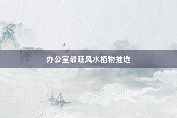 办公室最旺风水植物推选