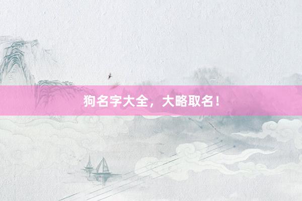 狗名字大全,大略取名!