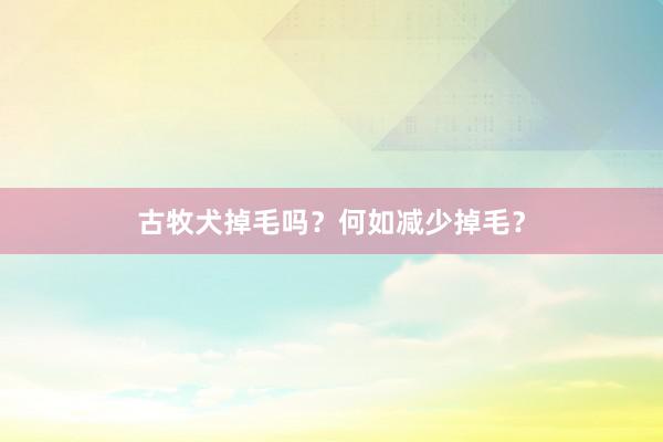古牧犬掉毛吗？何如减少掉毛？