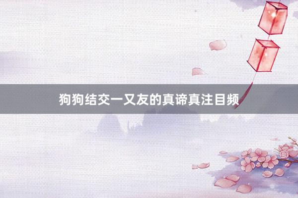 狗狗结交一又友的真谛真注目频