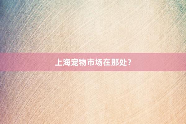 上海宠物市场在那处?