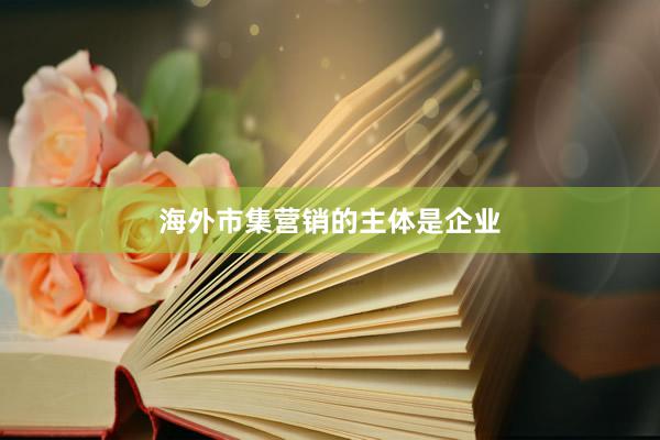 海外市集营销的主体是企业